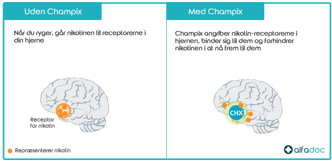 Sådan virker Champix Varenicline